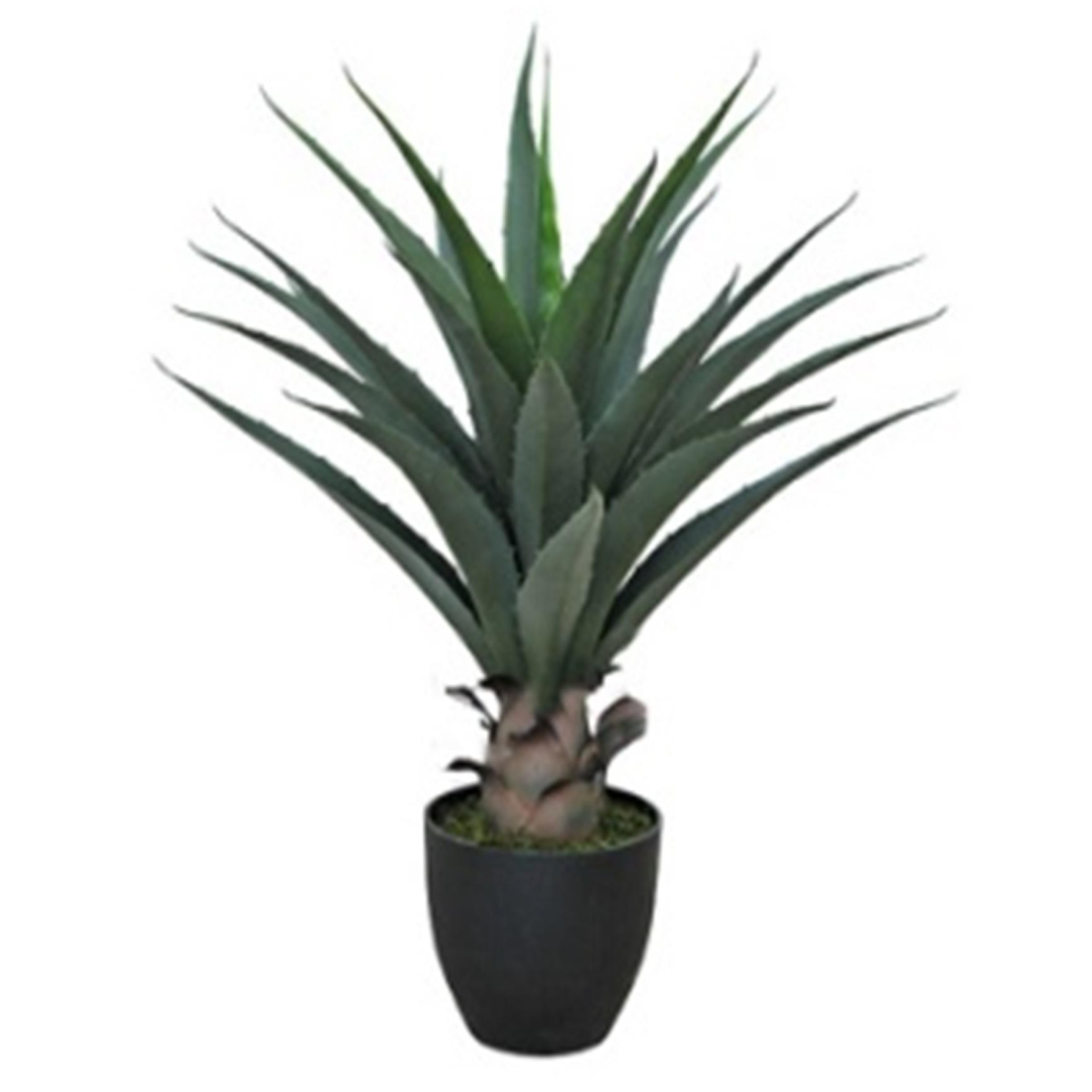 Leaf 70cm Artificial Agave Yucca Plant in Black Pot