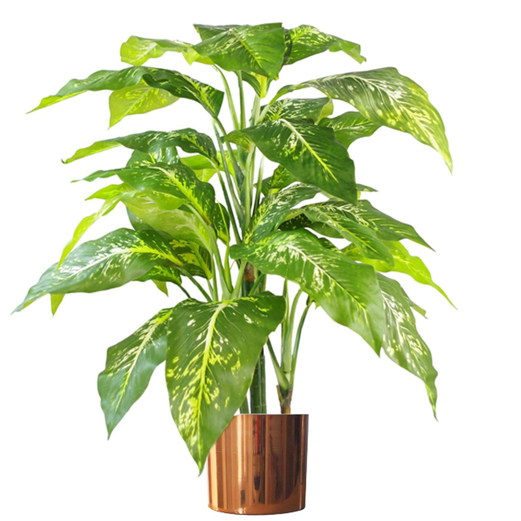 100cm Large Fox's Aglaonema Realistic Artificial Tree with Metal Planter
