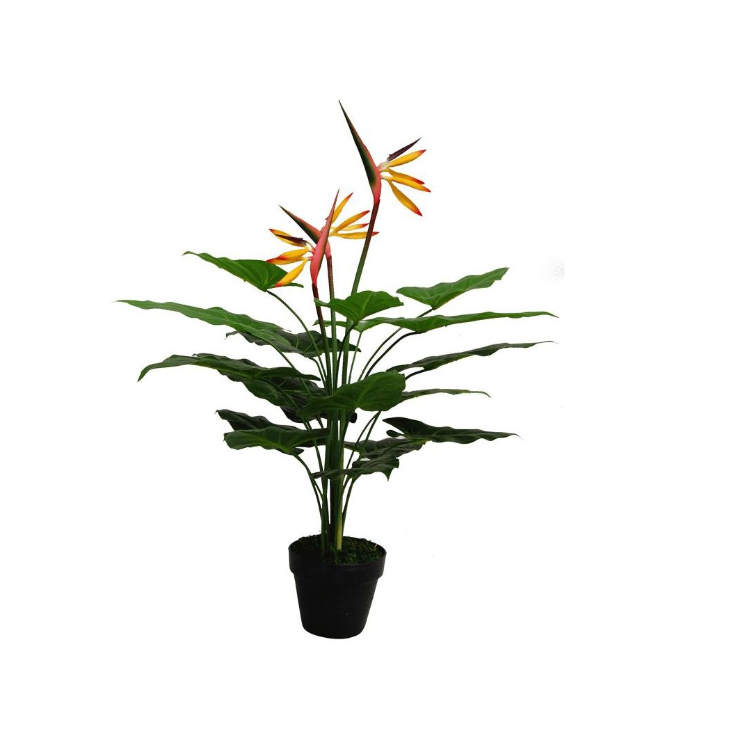 70cm Artificial Bird of Paradise Plant (Strelitzia) in Plastic Pot, Ready to Display