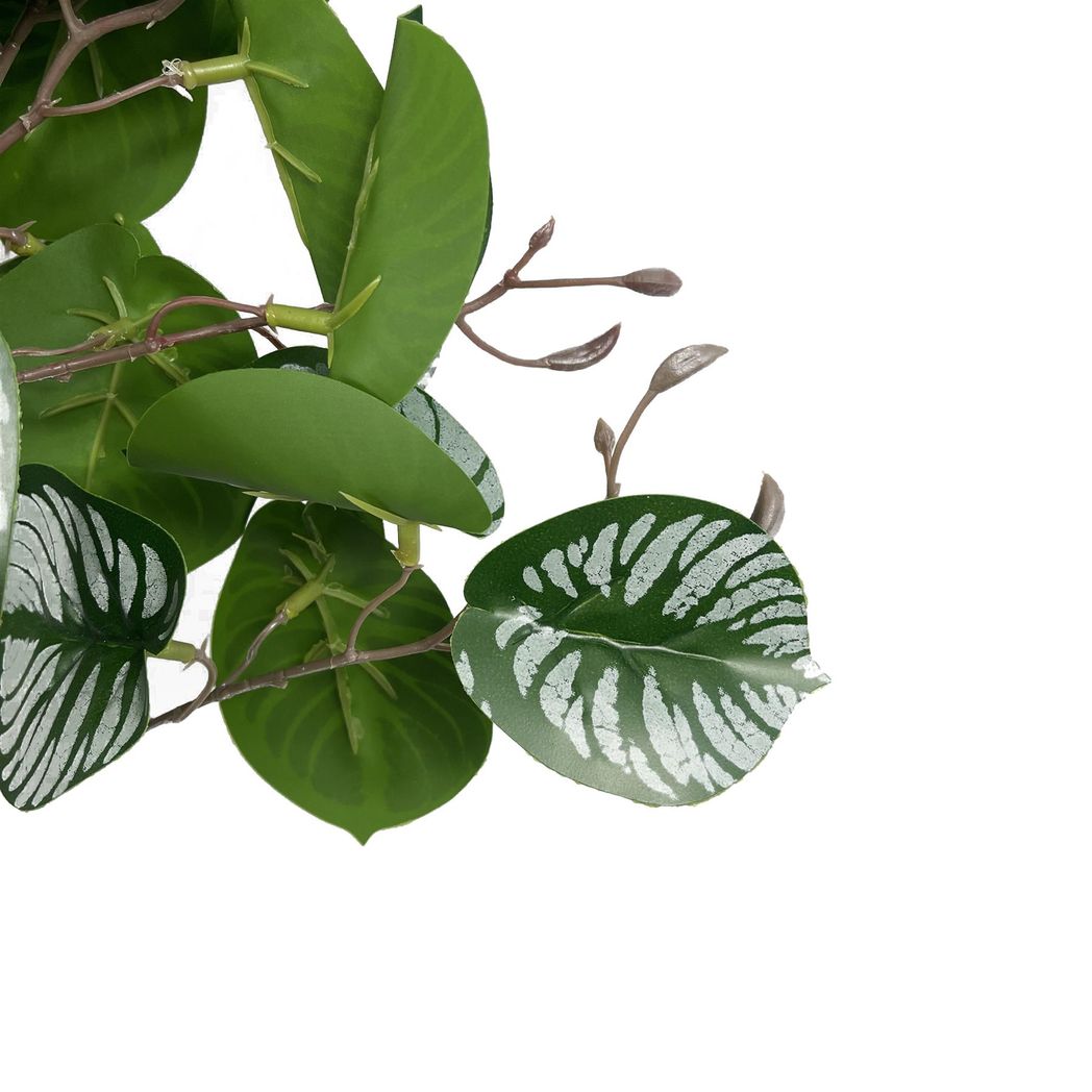 6 Pack 70cm Artificial Zebra Foliage with Wired Stem