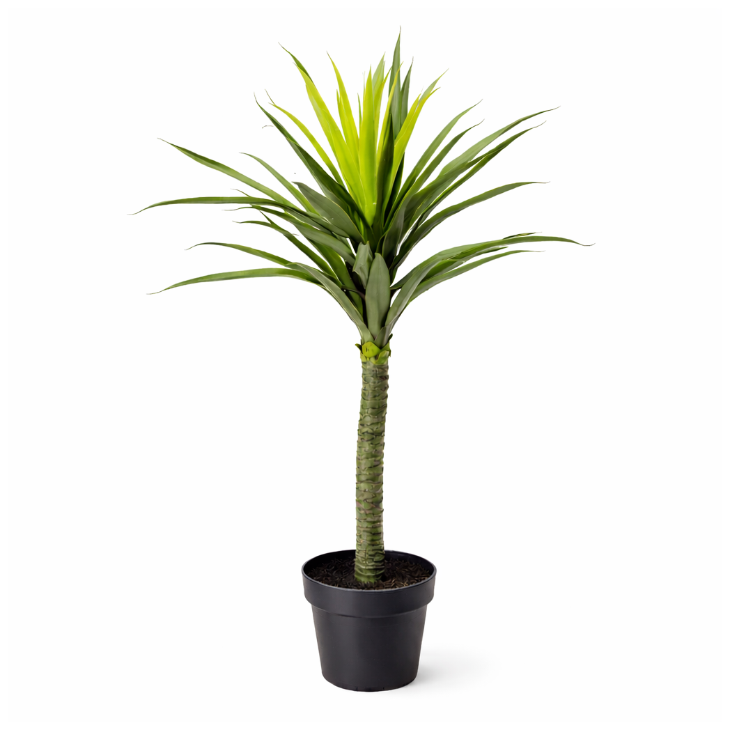 90cm Artificial Yukka Plant, Realistic Spiky Tree in Weighted Plastic Pot