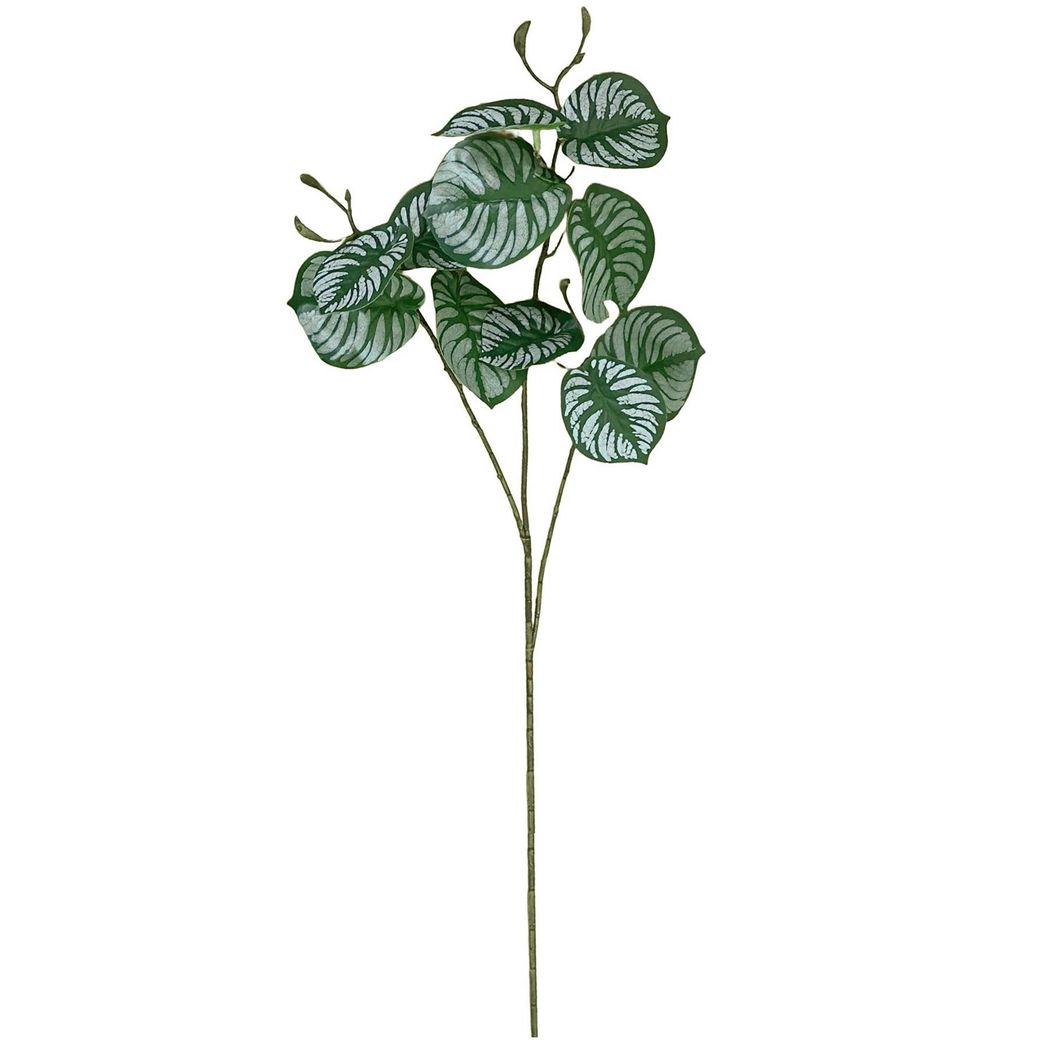 6 Pack 70cm Artificial Zebra Foliage with Wired Stem