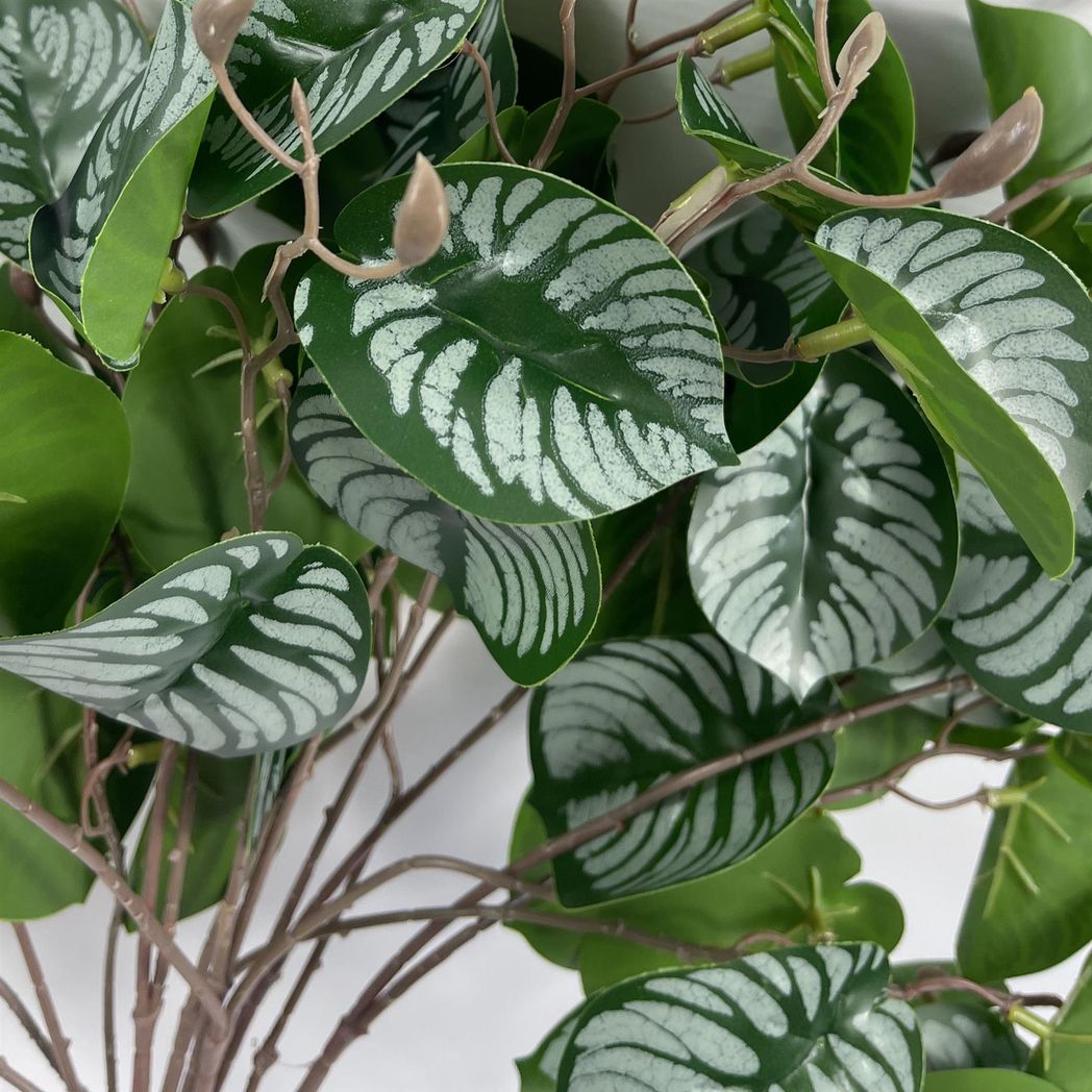6 Pack 70cm Artificial Zebra Foliage with Wired Stem
